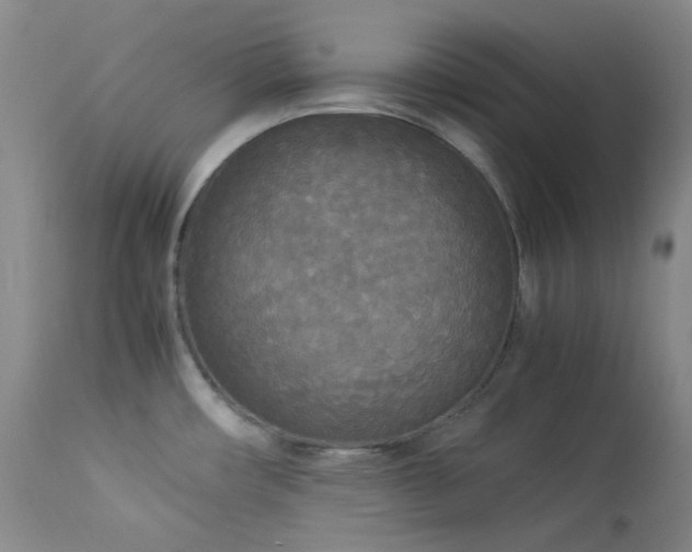 X0000114111482200910051501