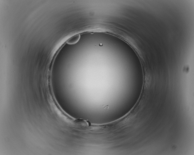 X0000114111484200910051501