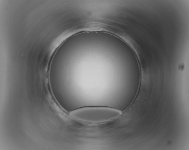 X0000114111485200910051501