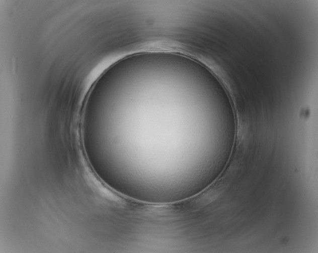 X0000114111486200910051501