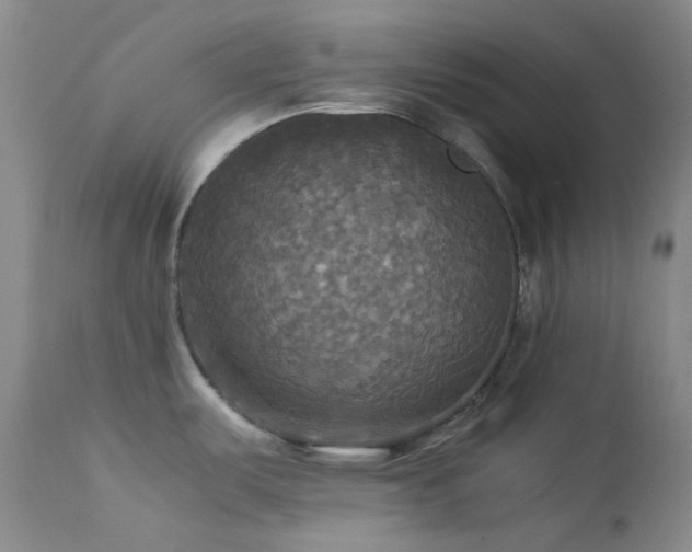 X0000114111487200910051501