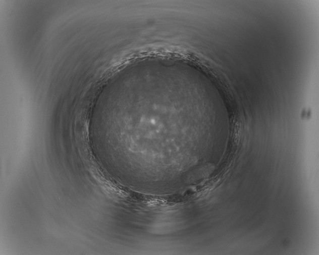 X0000114111489200910051500