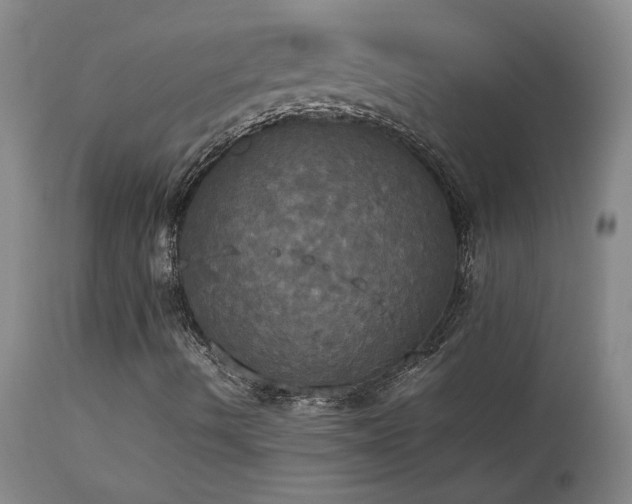 X0000114111490200910051500