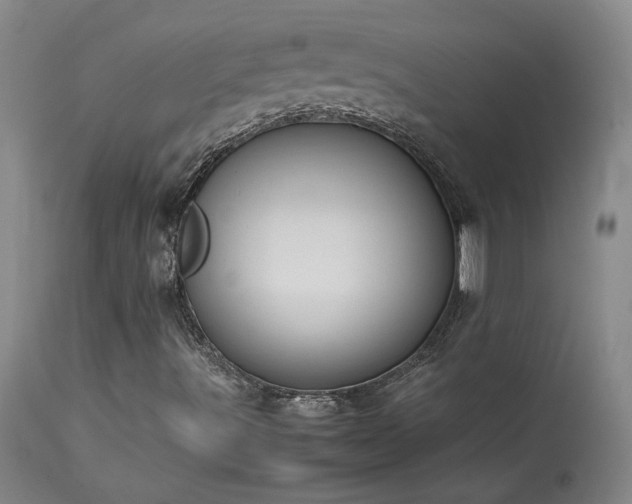 X0000114111491200910051500