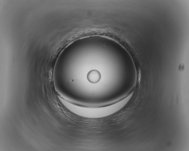 X0000114111492200910051500