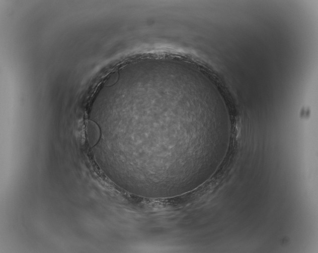 X0000114111493200910051500