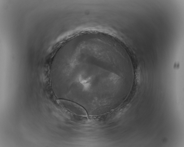 X0000114111494200910051500