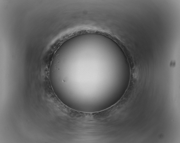 X0000114111495200910051500