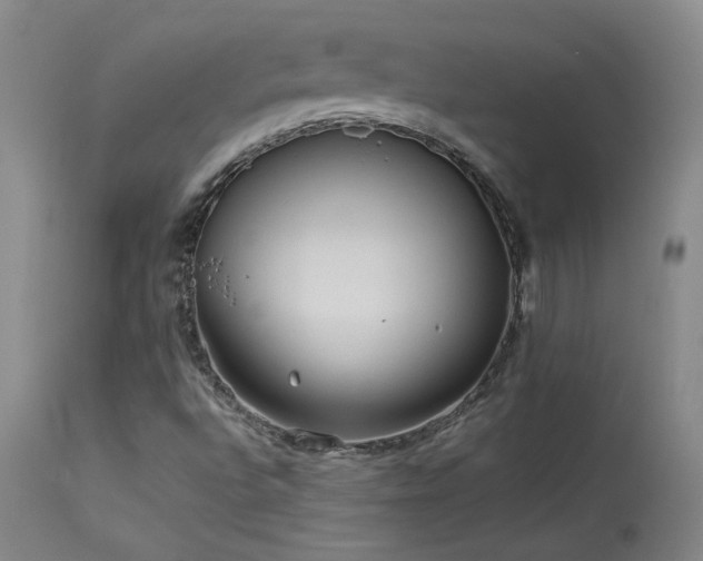 X0000114111496200910051500