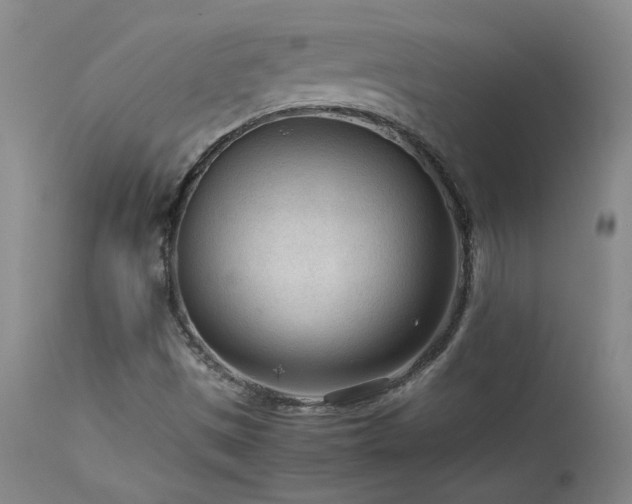 X0000114111497200910051500