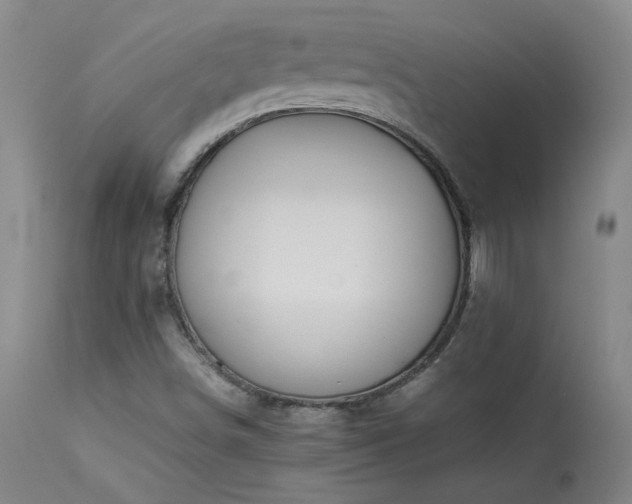X0000114111498200910051500