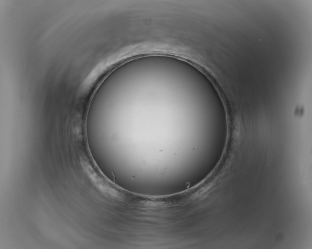 X0000114111499200910051500