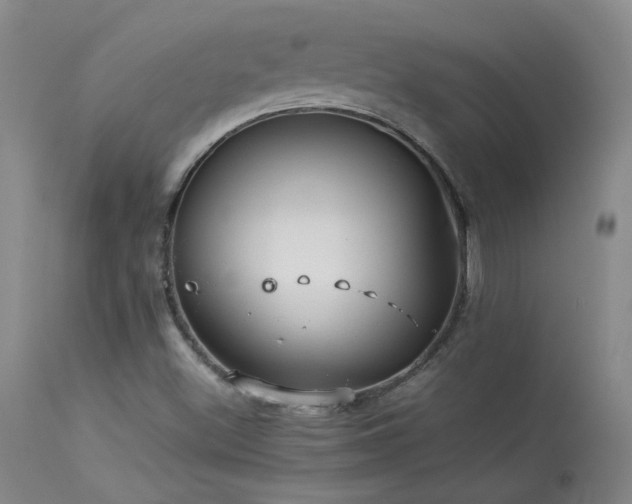 X0000114111500200910051500