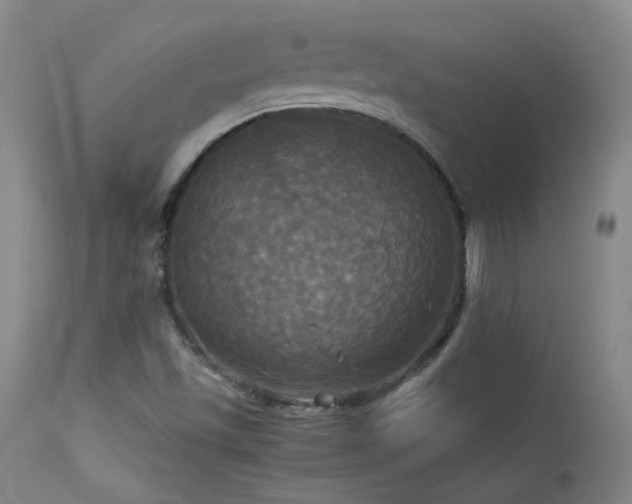 X0000114111501200910051500