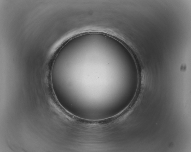 X0000114111502200910051500