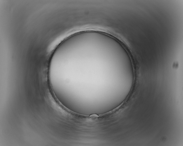 X0000114111504200910051500