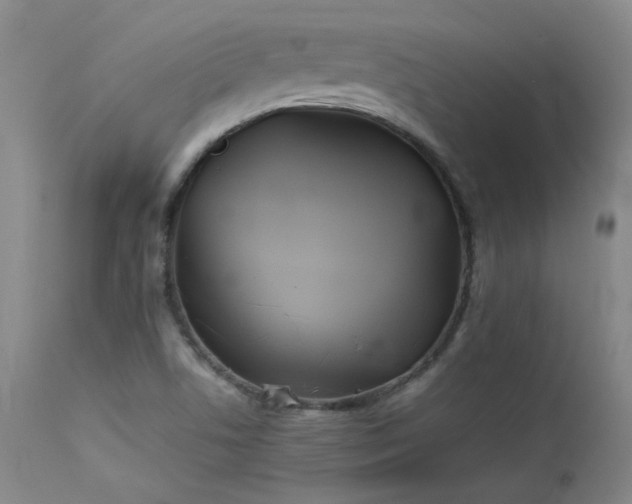 X0000114111506200910051500