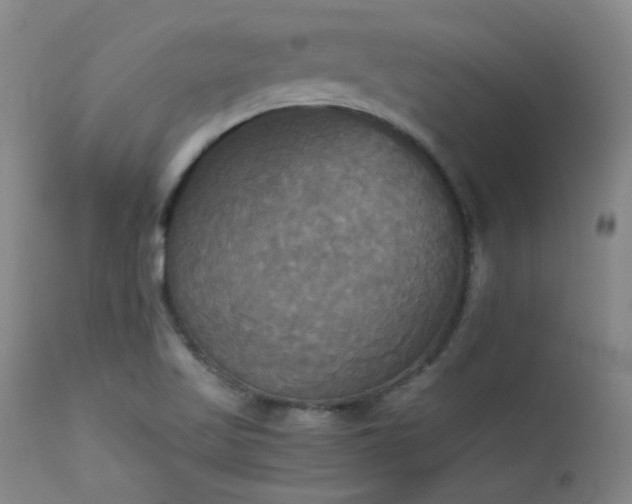 X0000114111509200910051500