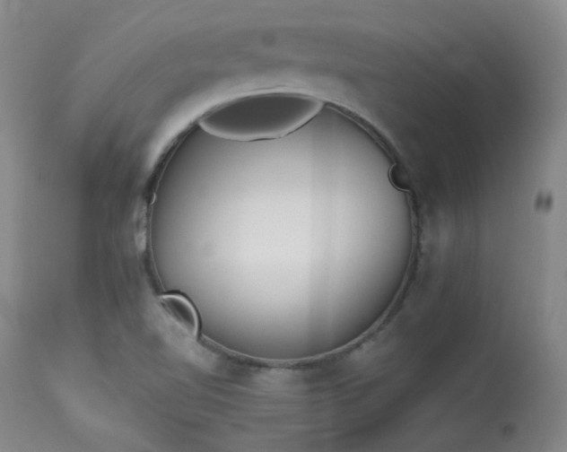 X0000114111510200910051500
