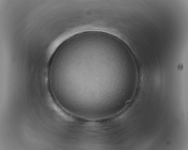 X0000114111511200910051500
