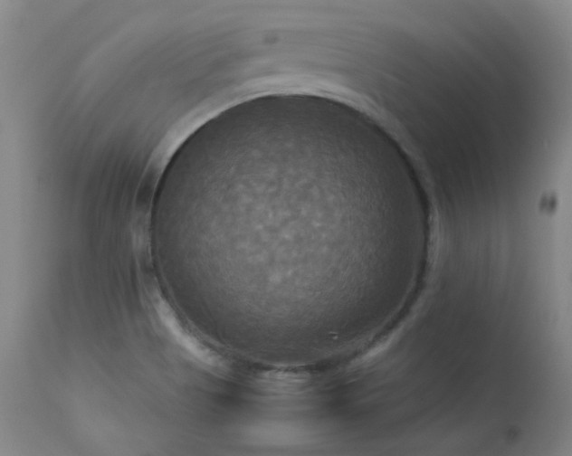 X0000114111513200910051500
