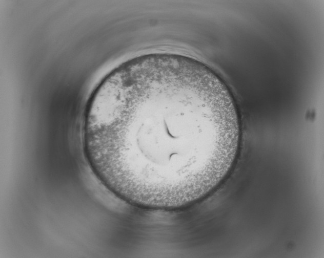 X0000114111514200910051500