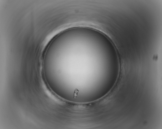 X0000114111515200910051500