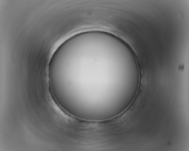 X0000114111516200910051500