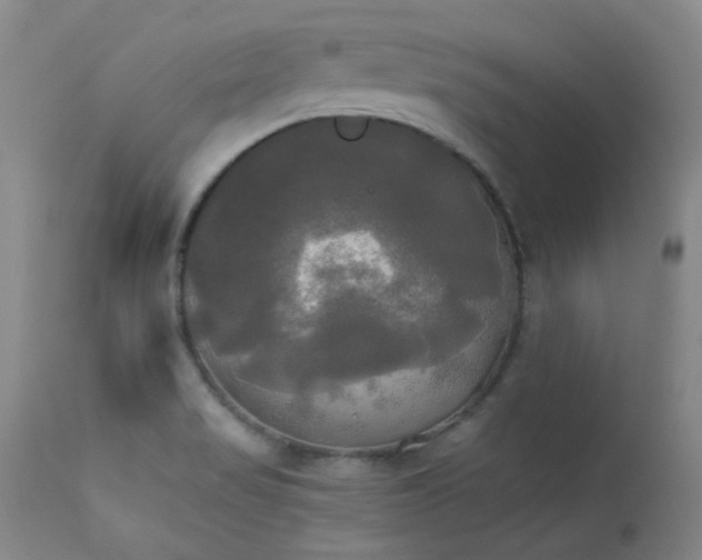 X0000114111517200910051500