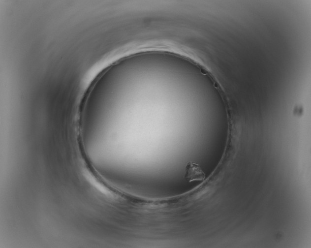 X0000114111519200910051500