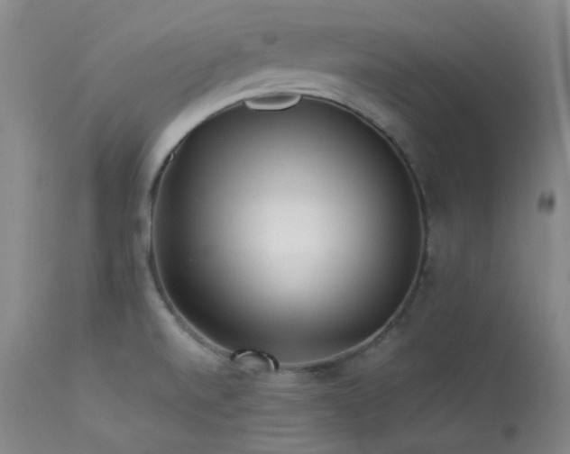 X0000114111520200910051500