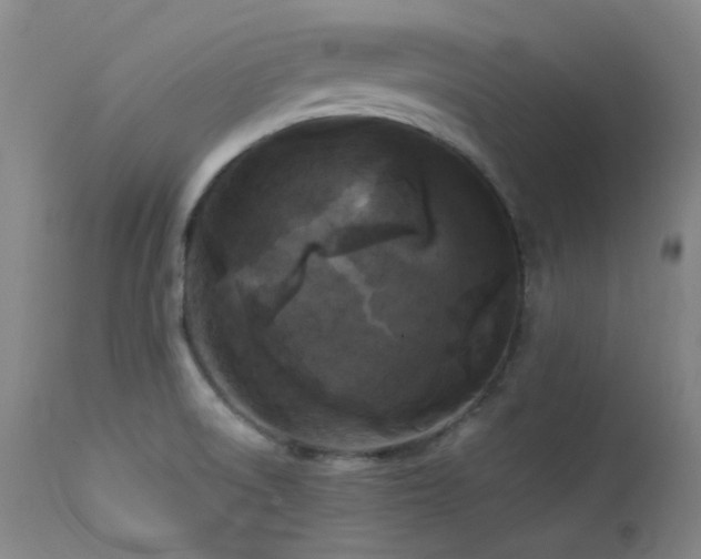 X0000114111522200910051500