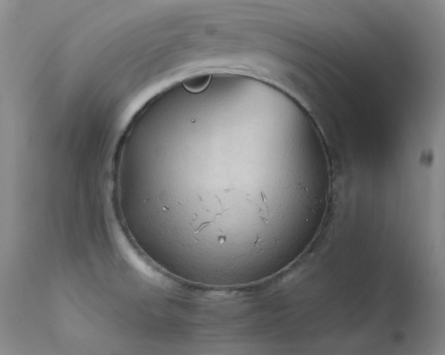 X0000114111523200910051500