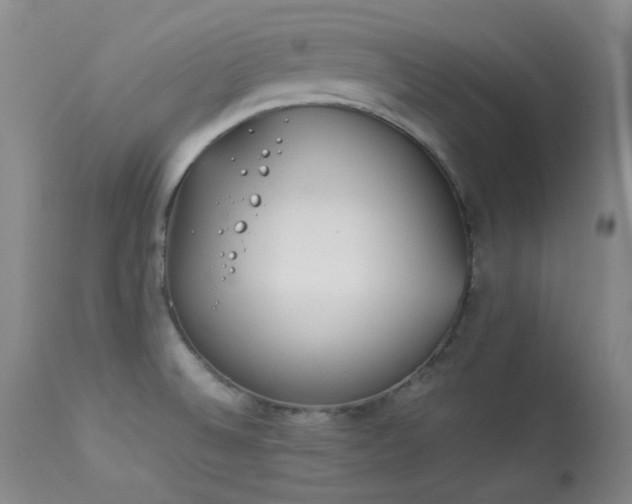 X0000114111524200910051500