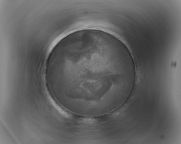 X0000114111525200910051500
