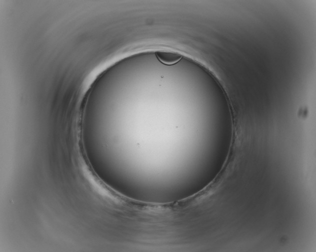 X0000114111526200910051500