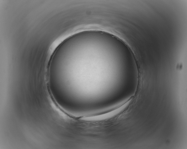 X0000114111527200910051501