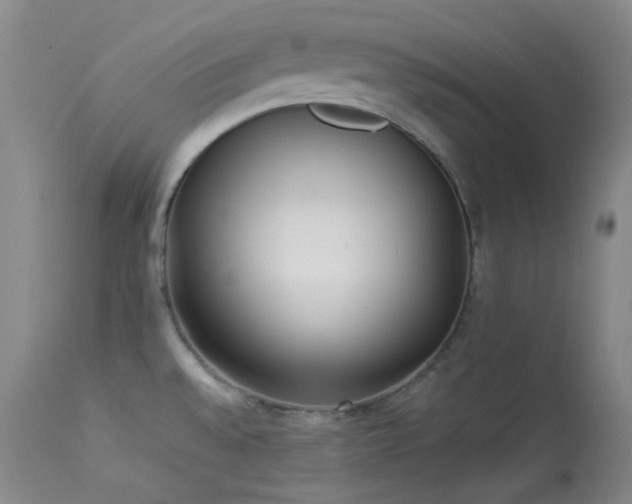 X0000114111528200910051501