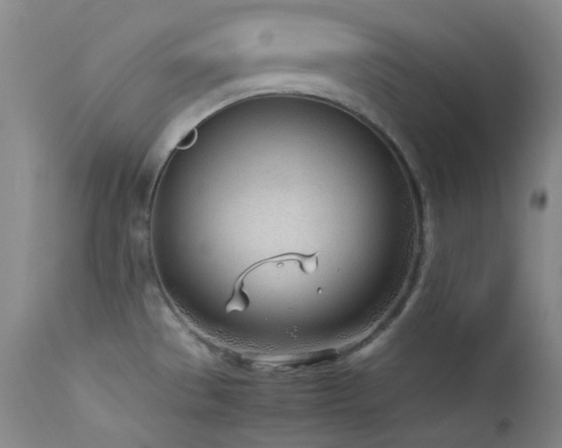 X0000114111529200910051501