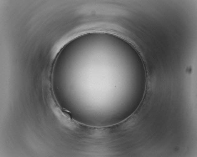 X0000114111530200910051501