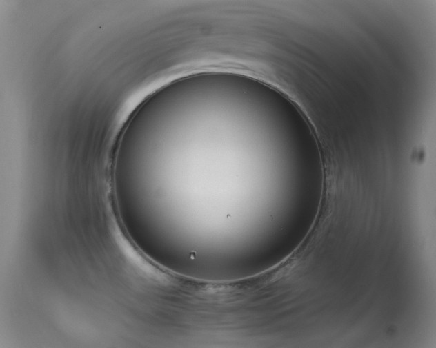 X0000114111531200910051501