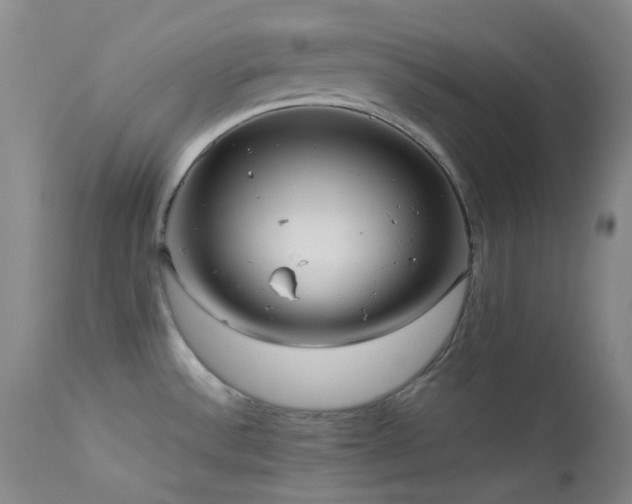 X0000114111532200910051501