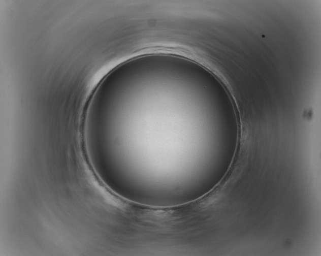 X0000114111533200910051501