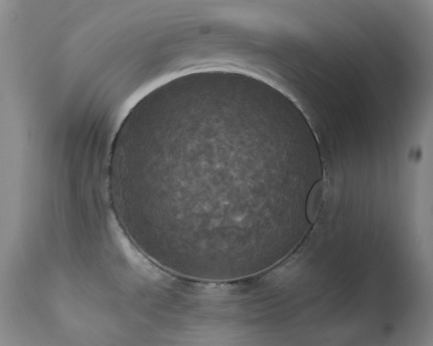 X0000114111534200910051501