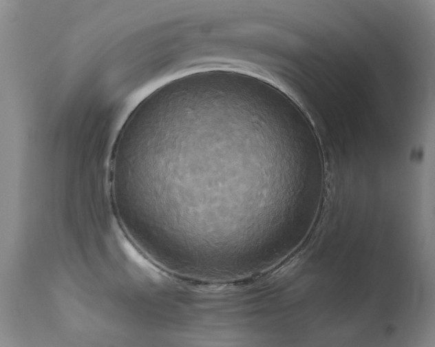 X0000114111535200910051501
