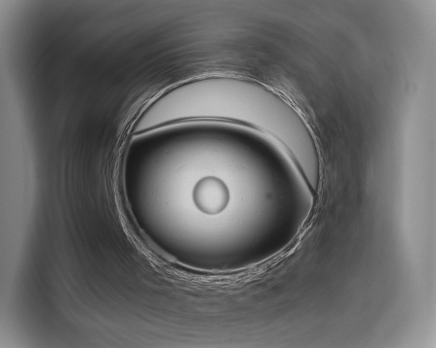 X0000114110001200910131352