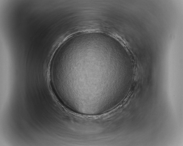 X0000114110002200910131352