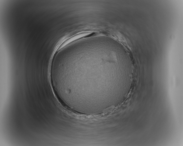 X0000114110003200910131352