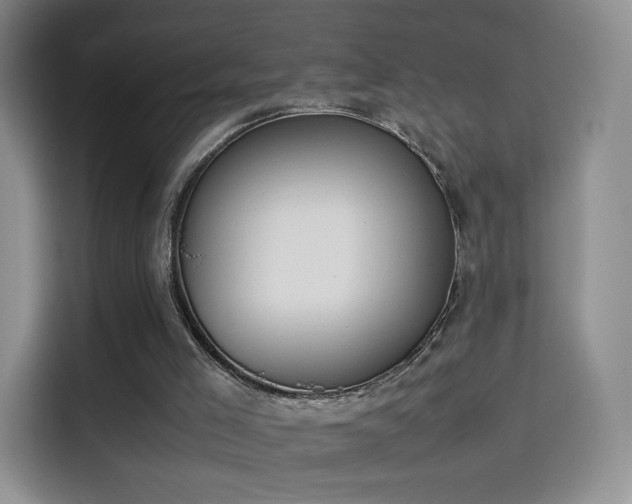 X0000114110005200910131352