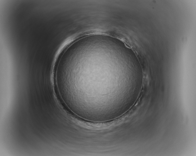 X0000114110006200910131352